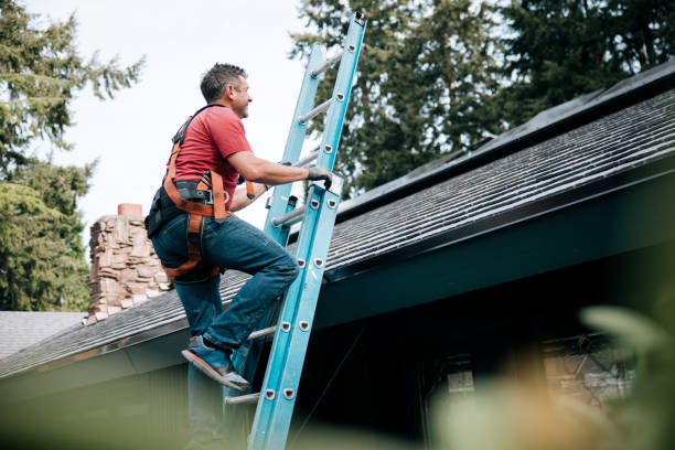 Skylights in Amador Pines, CA